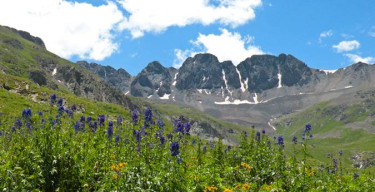 americanbasin americanbasin