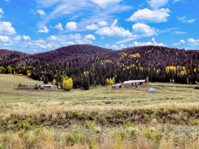 366-Diamond-Rd-Creede_05