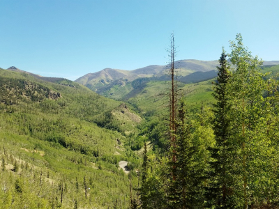 East-Willow-502-Palo-Alto-Creede_02
