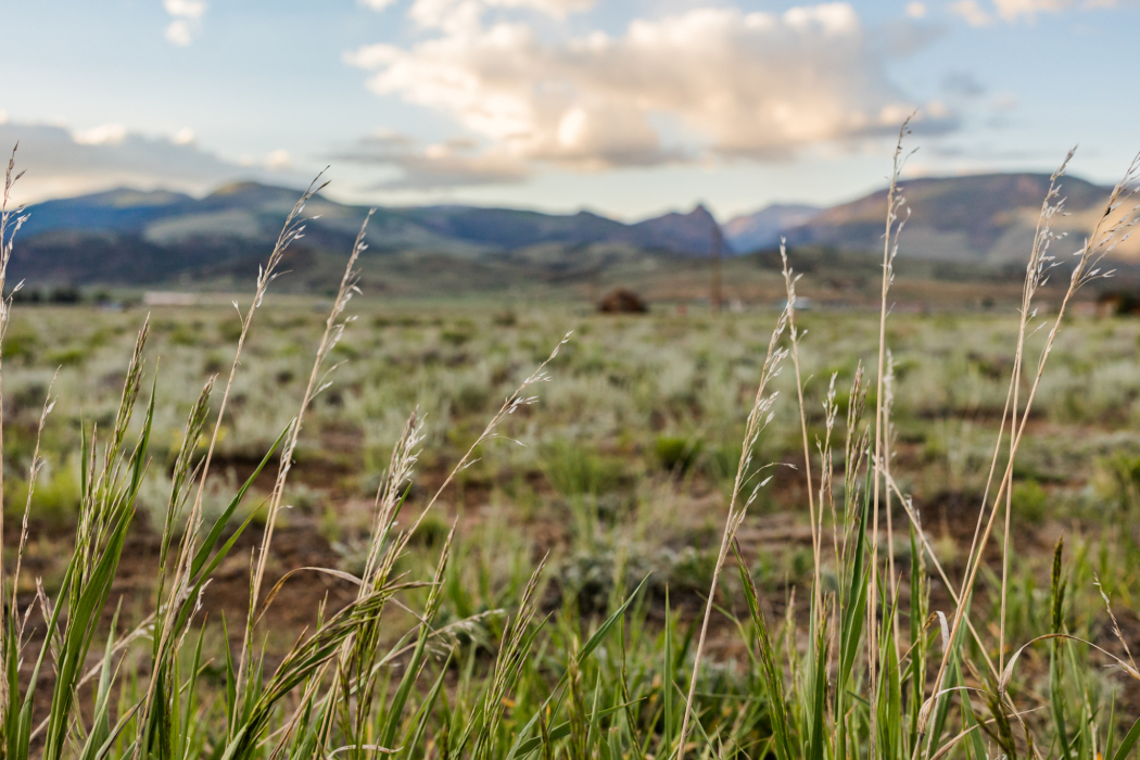 11 Antelope - Brooke Ashlee Photograpy-08
